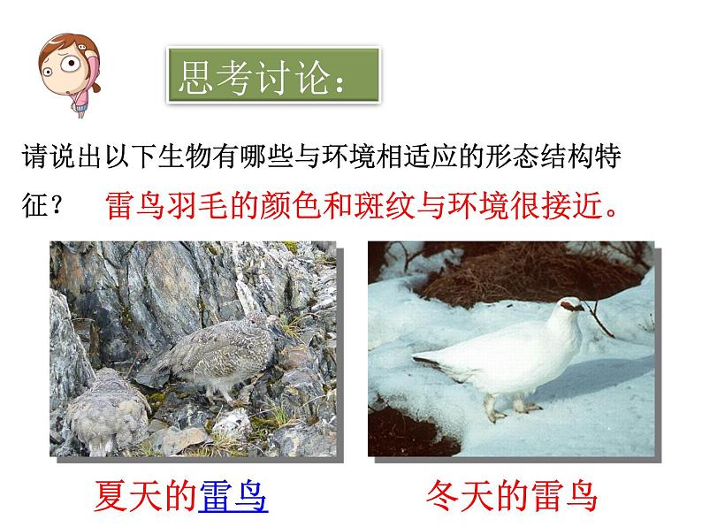 冀教版八年级下册生物 7.1.2生物对环境的适应和影响 课件05