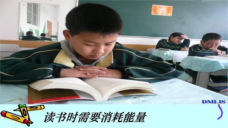 苏教版七年级下册生物 10.5人体能量的供给 课件第3页