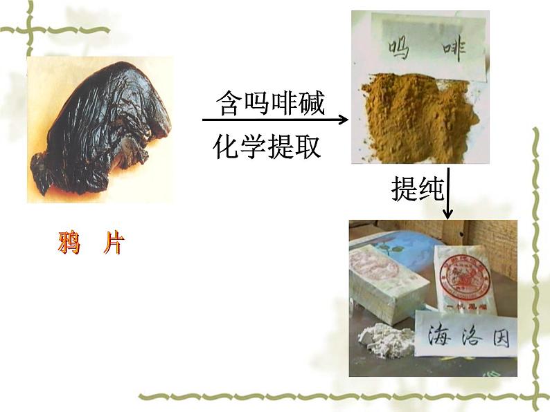苏教版八年级下册生物 26.2拒绝毒品 课件第7页
