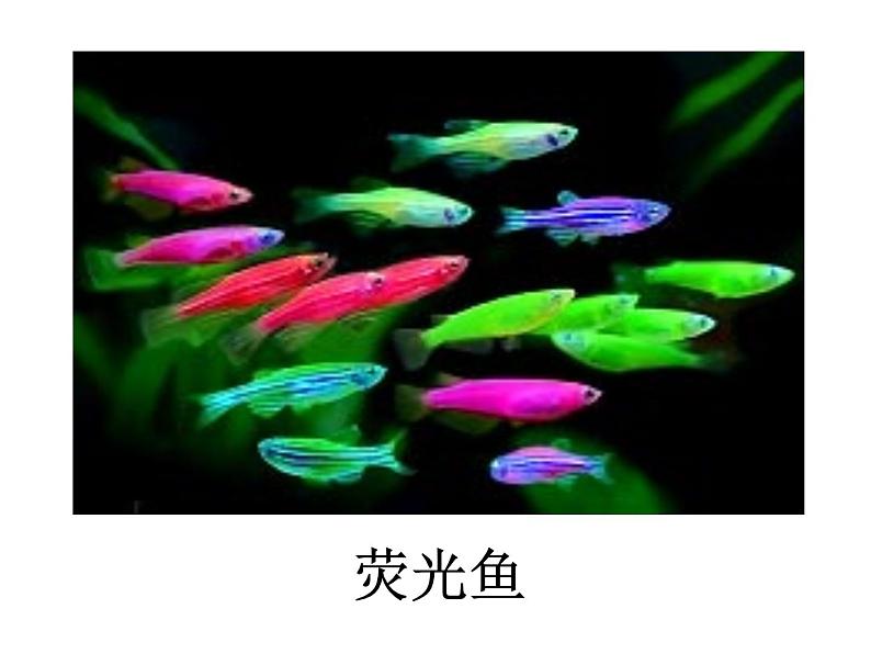 苏教版八年级下册生物 24.1现代生物技术的应用 课件第3页