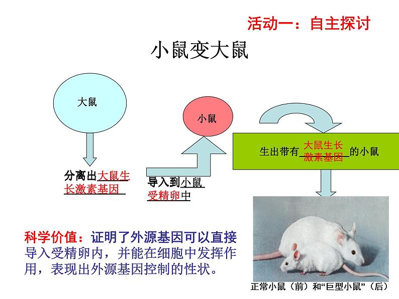 苏教版八年级下册生物 24.1现代生物技术的应用 课件第5页