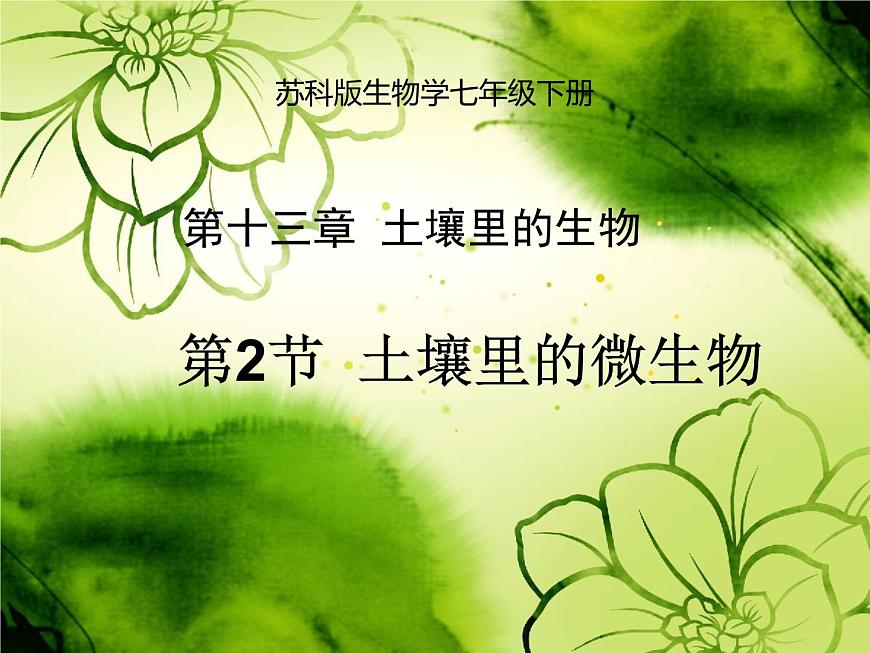 蘇科版七年級(jí)下冊(cè)生物 13.2土壤里的微生物 課件第1頁