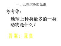 苏科版七年级下册第5单元 环境中生物的多样性第12章 空中的生物第2节 昆虫教学ppt课件