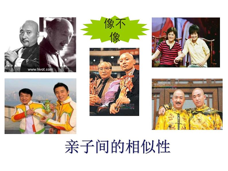 苏科版八年级下册生物 22.1生物的遗传 课件第3页