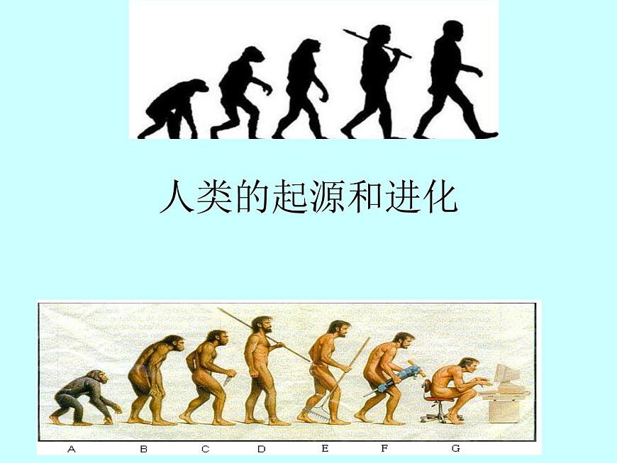 蘇科版八年級下冊生物 23.4人類的起源和進化 課件第1頁