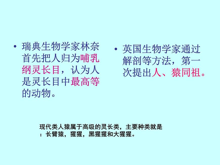 蘇科版八年級下冊生物 23.4人類的起源和進化 課件第3頁