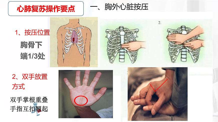 蘇科版八年級下冊生物 25.2關(guān)注家庭生活安全 課件第6頁