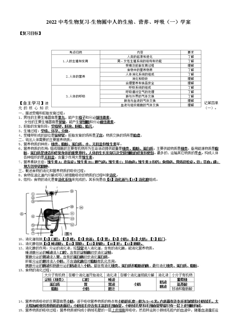 2022年中考生物复习-生物圈中人的生殖、营养、呼吸（一）学案（无答案）01