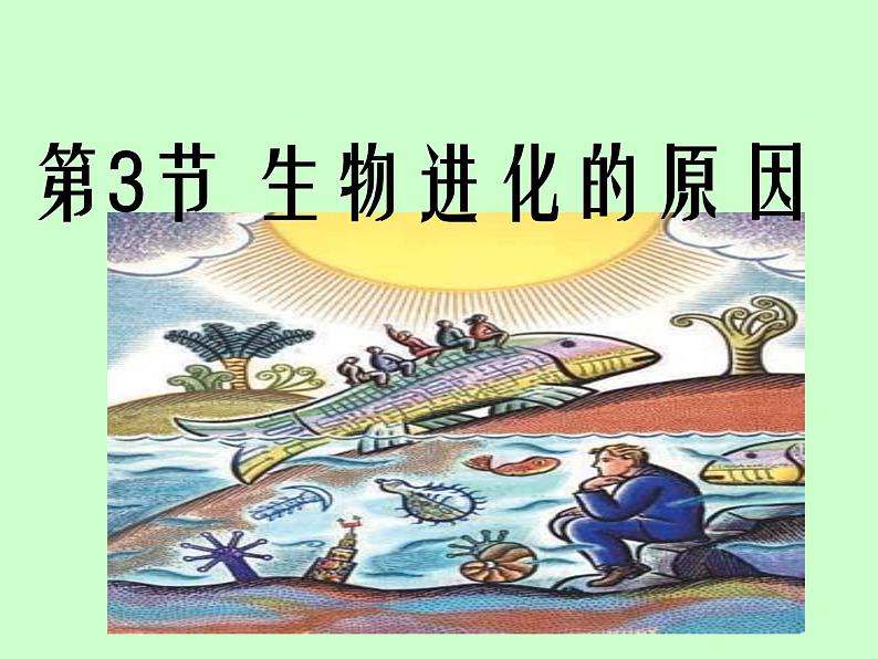 苏科版八下生物 23.3 生物进化的原因 课件01