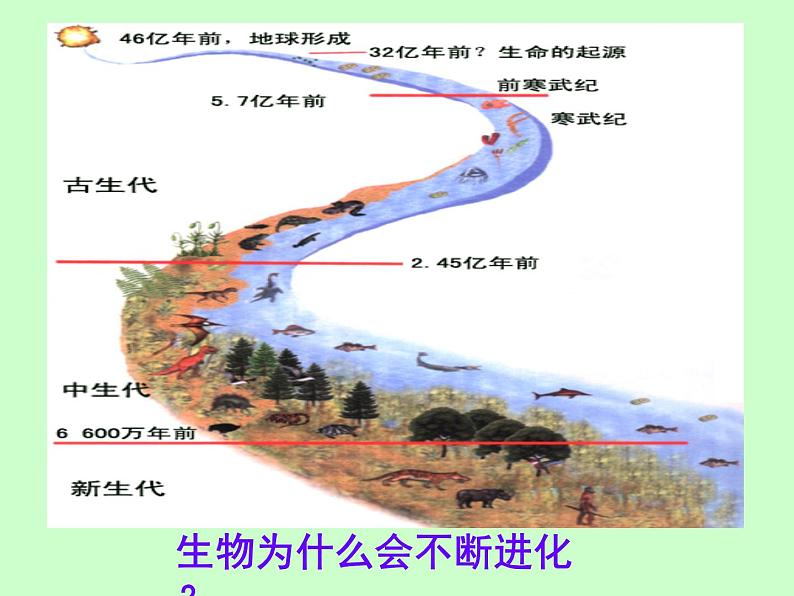 苏科版八下生物 23.3 生物进化的原因 课件02