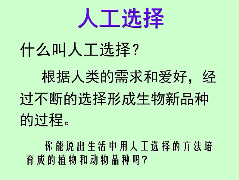 苏科版八下生物 23.3 生物进化的原因 课件07