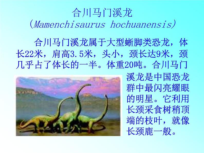 苏科版八下生物 23.2 生物进化的历程 课件第7页