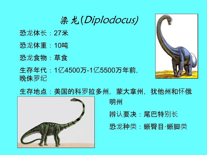 苏科版八下生物 23.2 生物进化的历程 课件第8页