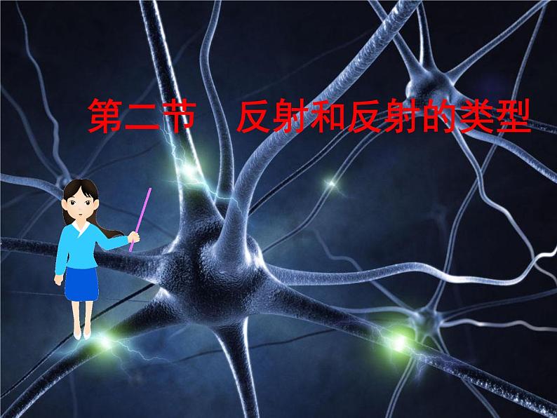 苏教版七下生物 12.2人体的神经调节 课件01