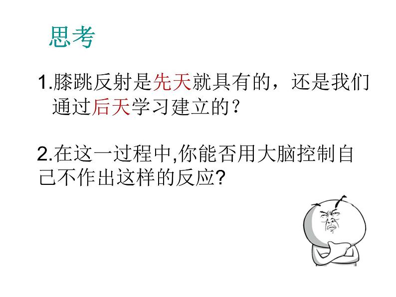 苏教版七下生物 12.2人体的神经调节 课件05