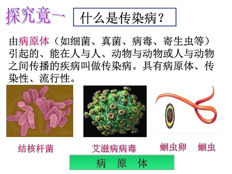 冀教版七下生物 6.2疾病与预防 课件第3页