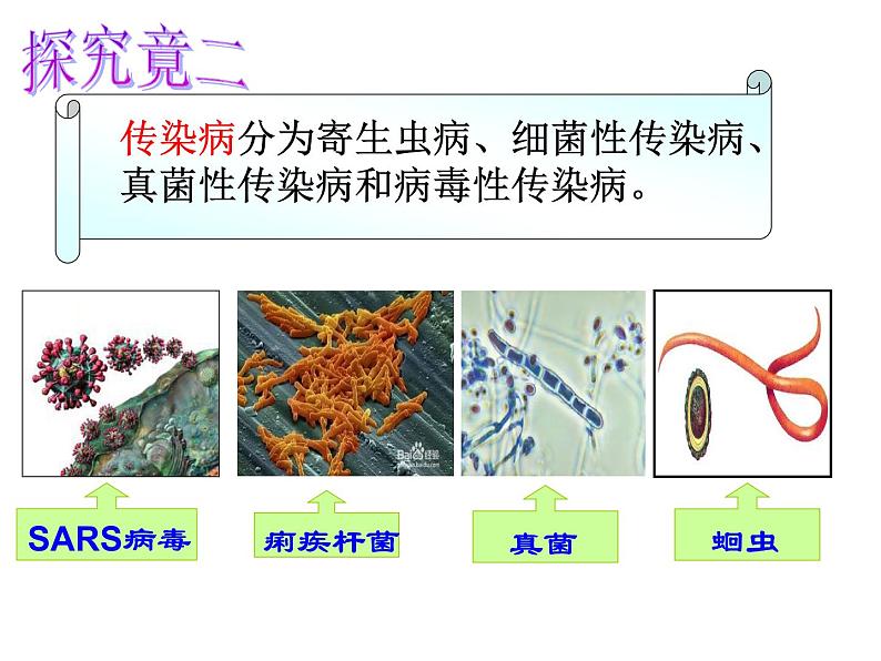 冀教版七下生物 6.2疾病与预防 课件第6页