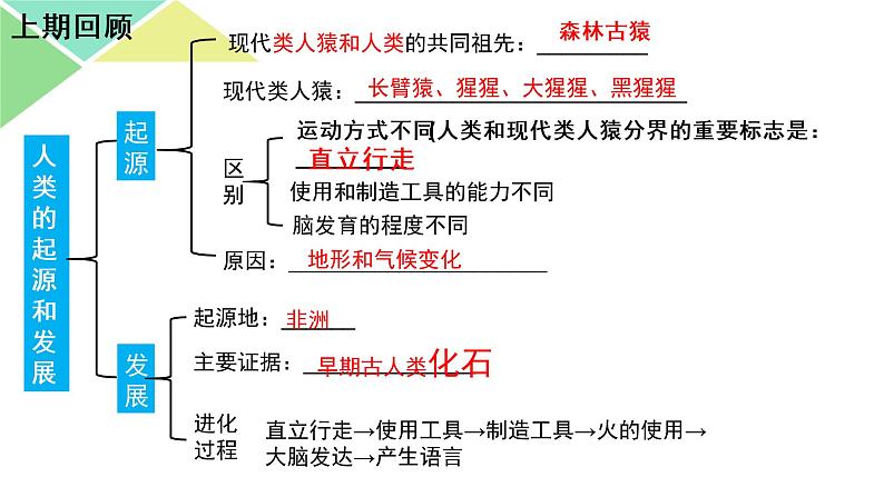 七年级下册第二节《 人的生殖》第1页