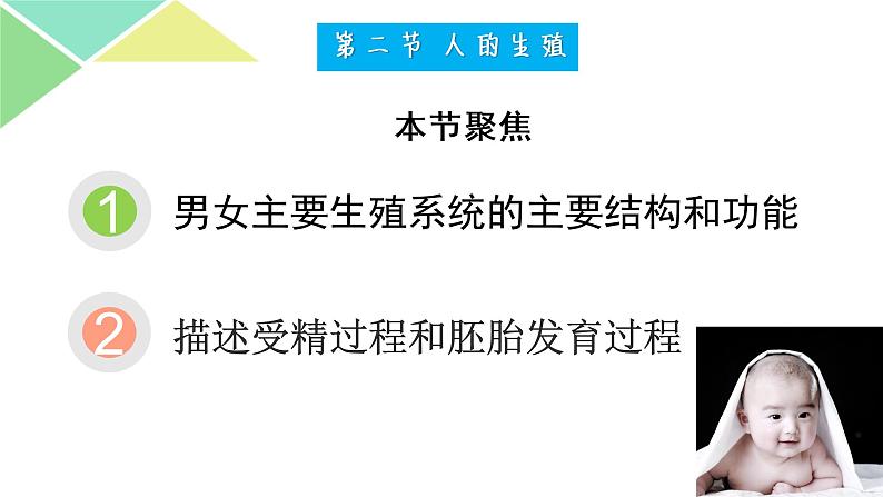 七年级下册第二节《 人的生殖》第2页