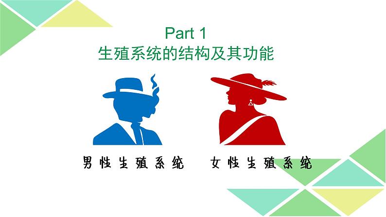 七年级下册第二节《 人的生殖》第5页