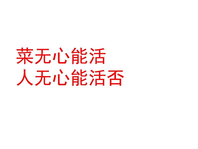 济南版七年级下册生物 3.2物质运输的器官 课件第1页