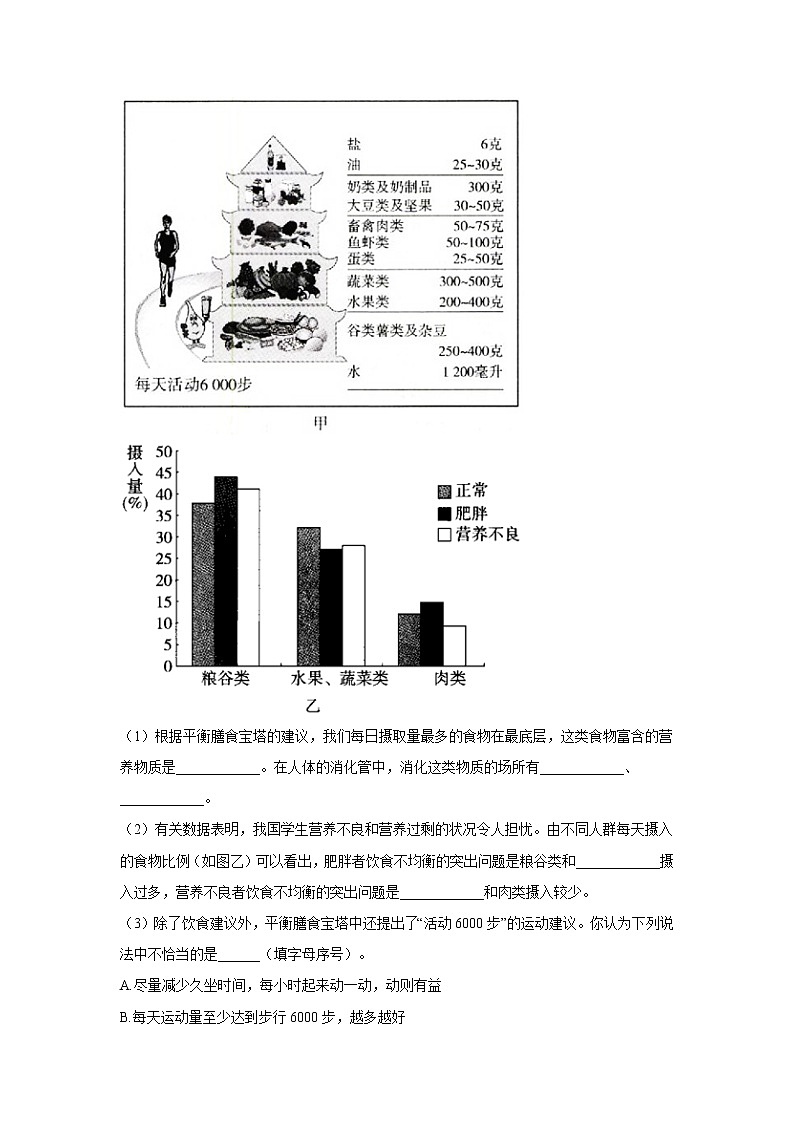 生物北师大版七年级下册同步课时作业 4.8.3合理膳食与食品安全第3页