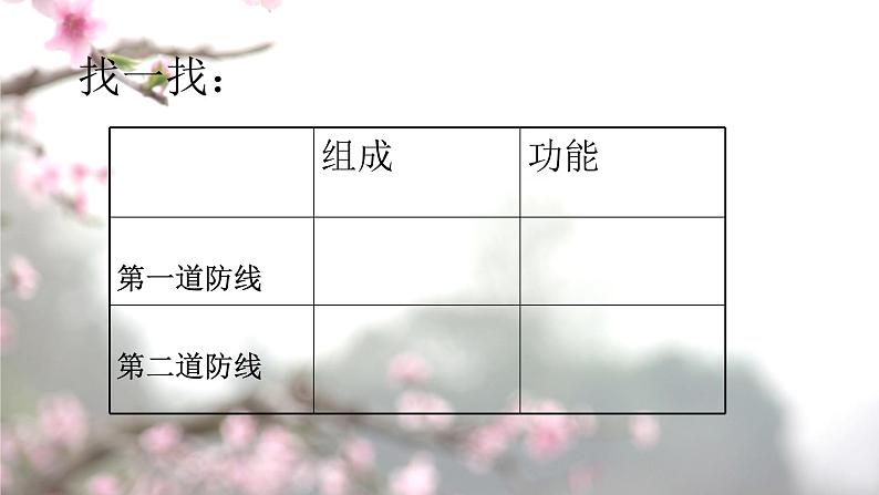 冀教版七年级下册生物 6.1 免疫 课件04
