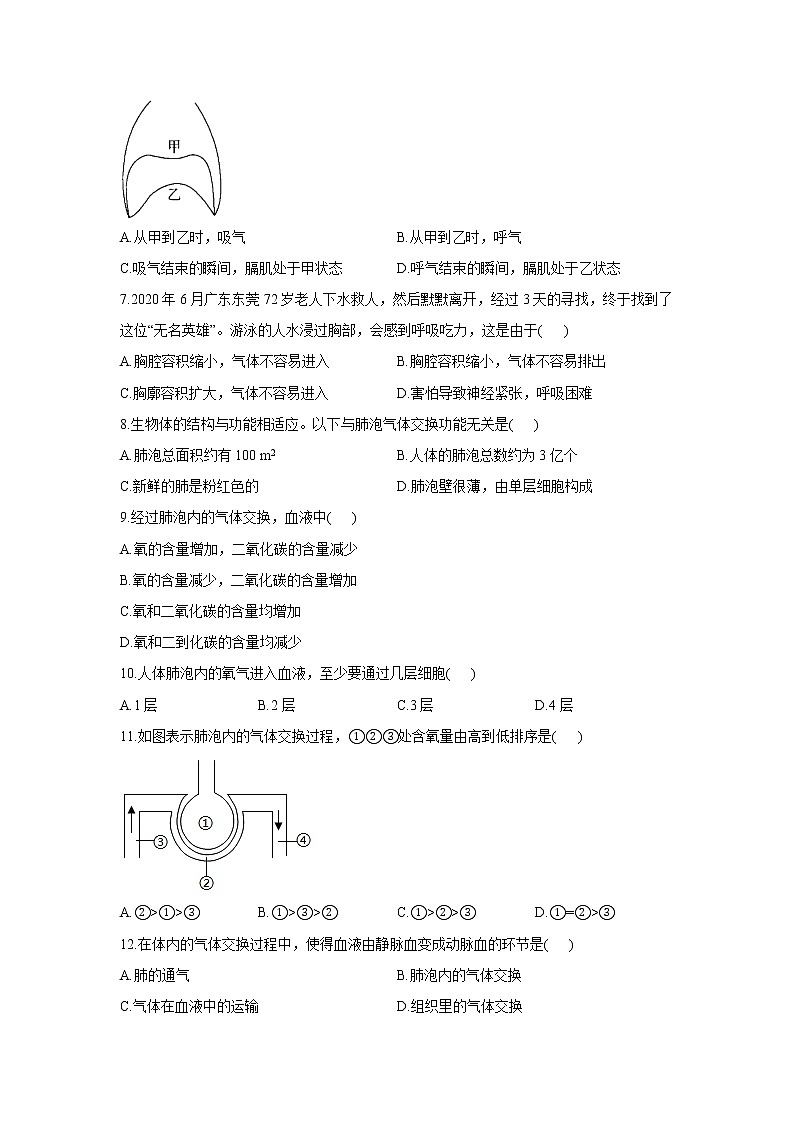 生物北师大版七年级下册同步课时作业 4.10.2人体细胞获得氧气的过程第2页