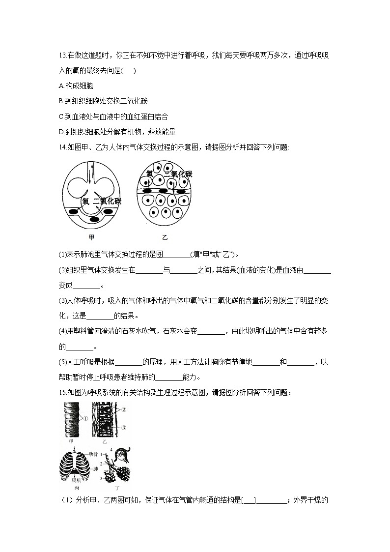 生物北师大版七年级下册同步课时作业 4.10.2人体细胞获得氧气的过程第3页