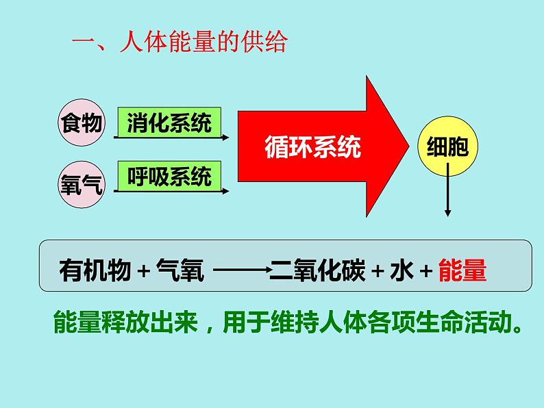苏教版七年级下册生物 10.5人体能量的供给 课件第3页