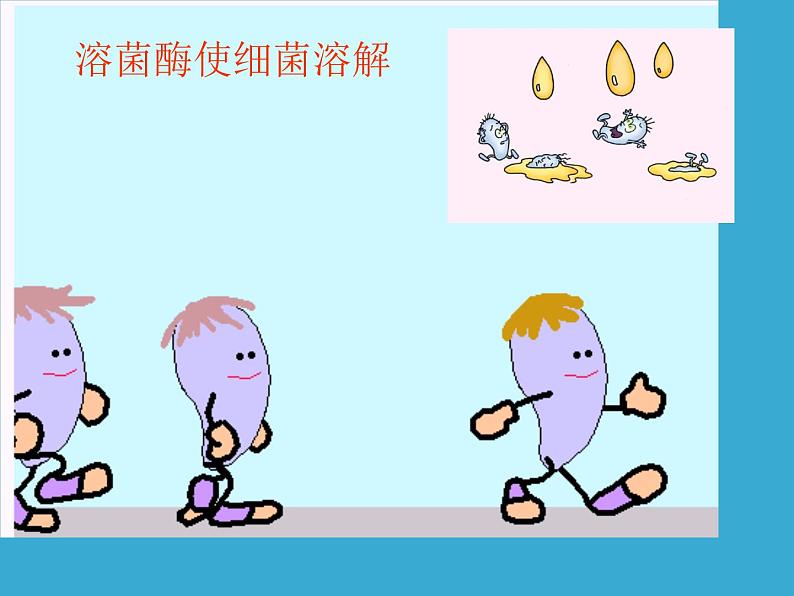 苏教版八年级下册生物 25.3免疫 课件第8页