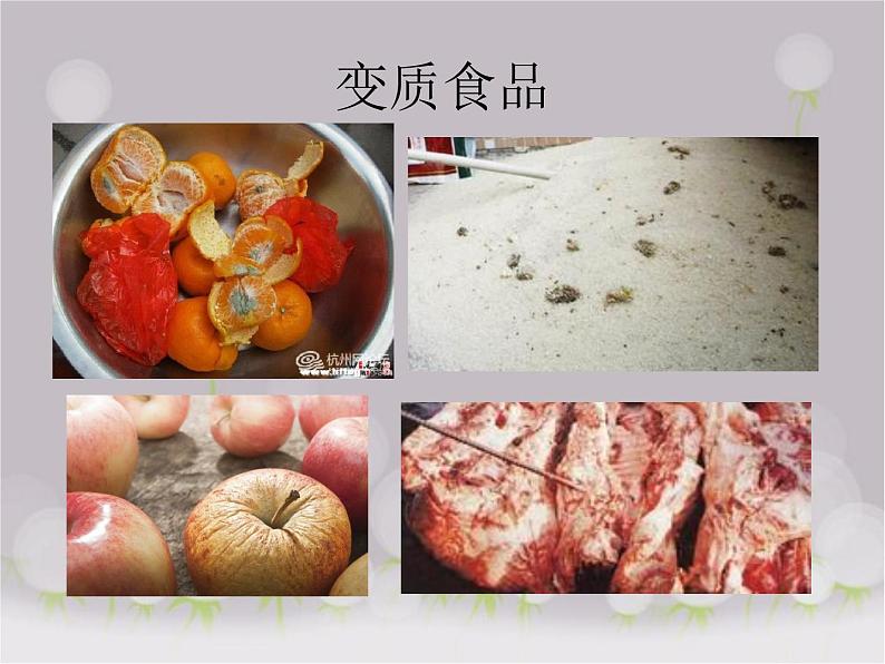 苏教版八年级下册生物 23.2食品保存 课件第3页