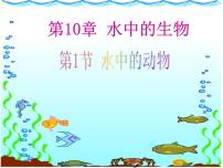 生物七年级下册第5单元 环境中生物的多样性第10章 水中的生物第1节 水中的动物集体备课课件ppt