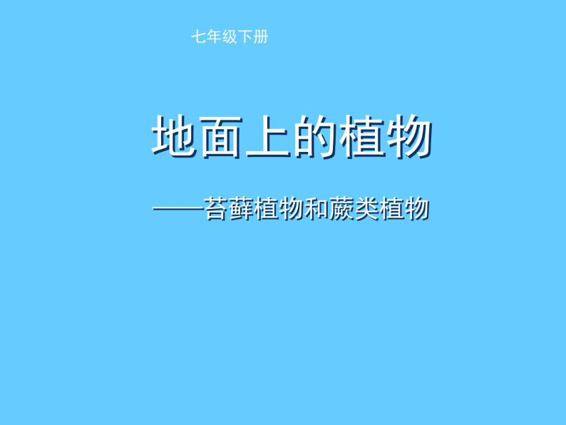 苏科版七年级下册生物 11.1地面上的植物 课件01