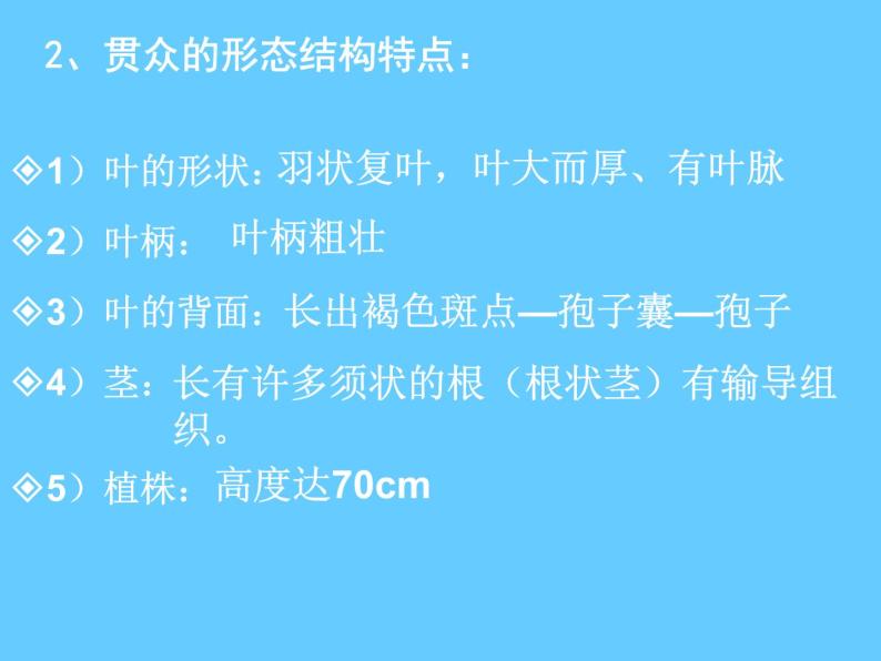 苏科版七年级下册生物 11.1地面上的植物 课件06