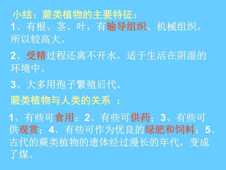 苏科版七年级下册生物 11.1地面上的植物 课件08