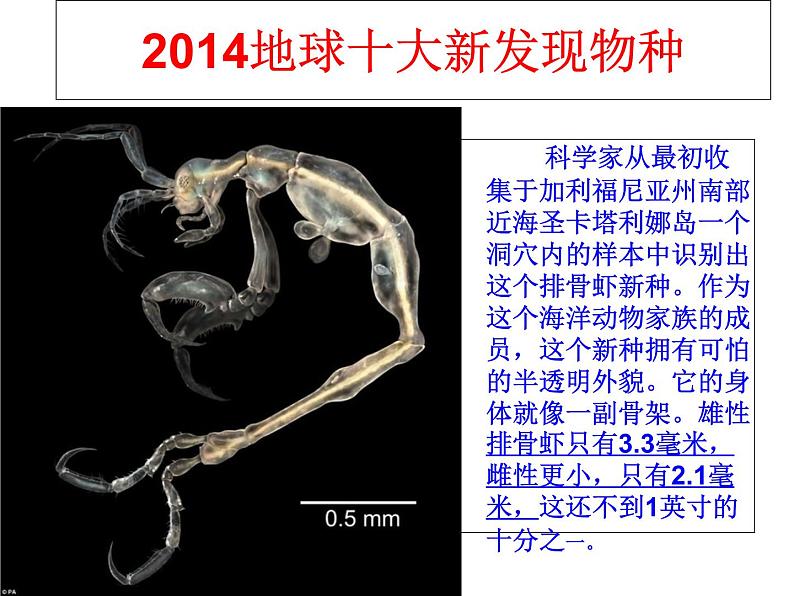苏科版八年级下册生物 23.1生命的起源 课件第2页