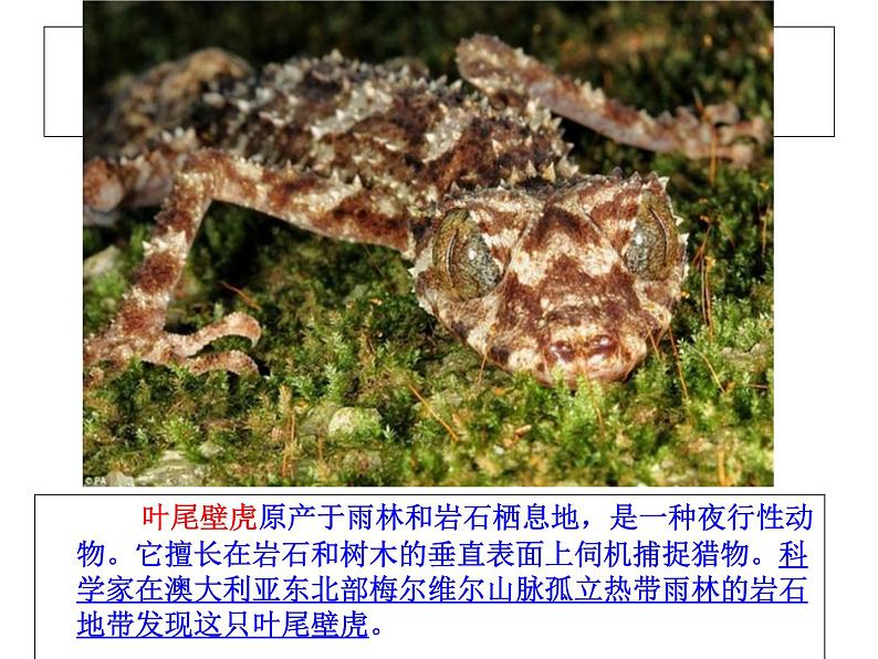 苏科版八年级下册生物 23.1生命的起源 课件第4页