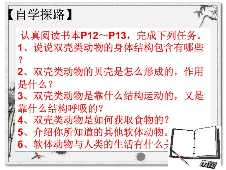 5.1.3软体动物和节肢动物课件PPT03