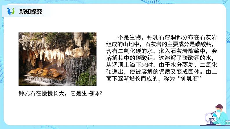 1.1.1《生物的特征》课件第5页