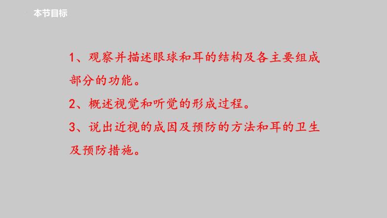 3-5-4人体对周围世界的感知课件济南版生物七年级下册02