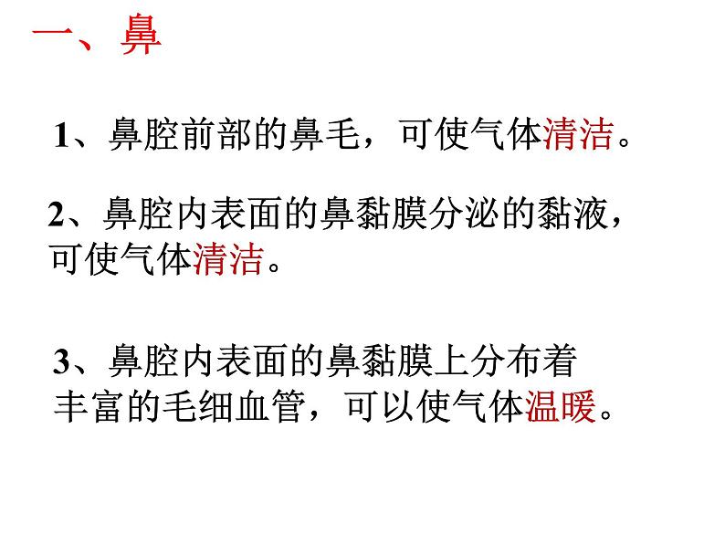 冀教版七年级下册生物 3.1呼吸 课件第4页
