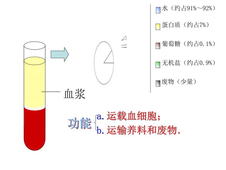 济南版七下生物 3.1物质运输的载体 课件06