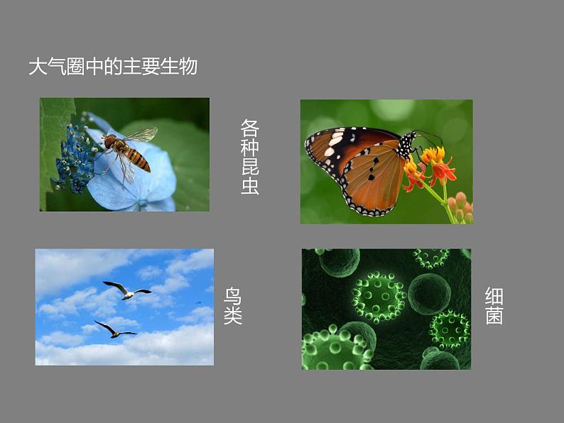 冀教版八下生物 7.2.3生物圈 课件第7页