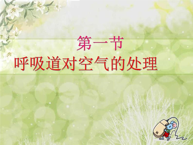 人教版七下生物 3.1呼吸道对空气的处理 课件01