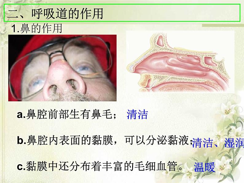 人教版七下生物 3.1呼吸道对空气的处理 课件04