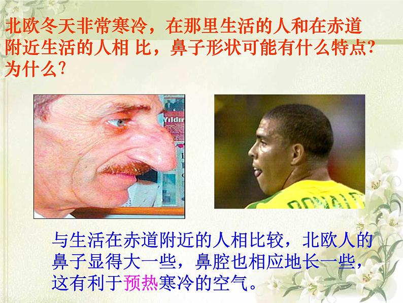 人教版七下生物 3.1呼吸道对空气的处理 课件05