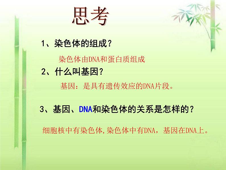 人教版八下生物 7.2.2基因在亲子代间的传递 课件第4页