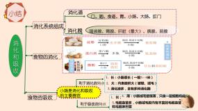 生物冀教版第四节 食品安全教学ppt课件