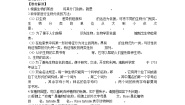 北京版八年级下册第一节 生物的分类教案及反思